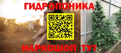 spice Краснознаменск